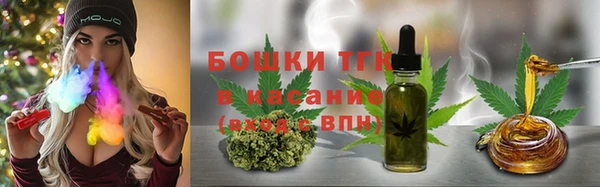 эйфоретик Аркадак