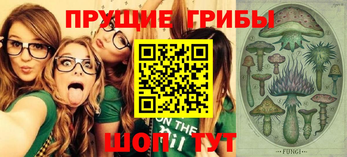 Галлюциногенные грибы Psilocybine cubensis Валуйки
