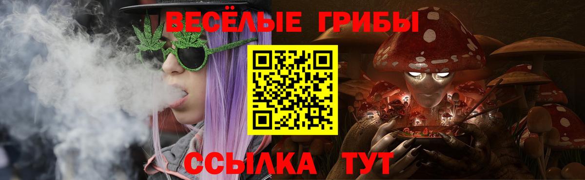 Псилоцибиновые грибы мухоморы  как найти   Псилоцибиновые грибы Magic Shrooms  Валуйки  Вход с VPN 